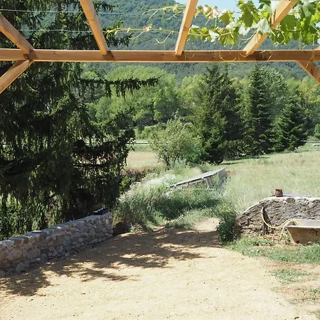 Ca N'aliguer Ripoll